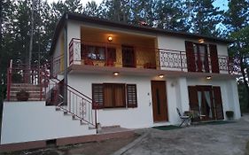 Pineta